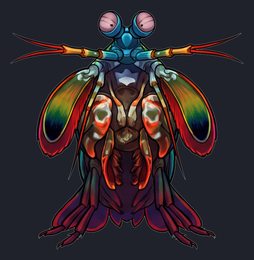 mantis-shrimp_isolated-view-02_transparent_v01.png