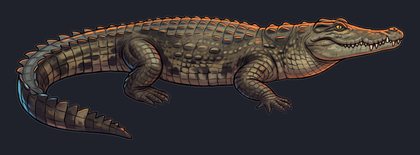 crocodile_isolated-view-02_transparent_v01.png