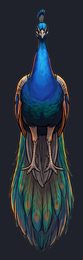 peacock_isolated-view-02_transparent_v01.png