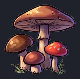 mushrooms_isolated_transparent_v01.png