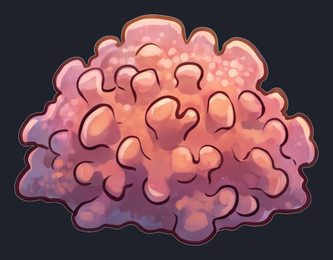 seashell_isolated_transparent_v01.png
