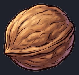 walnut_isolated_transparent_v01.png
