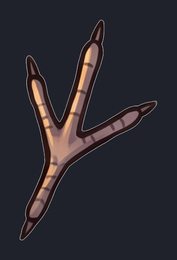 animal-footprints_isolated_transparent_v01.png
