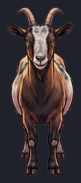 goat_p2-0001_view-03_transparent_v01.png