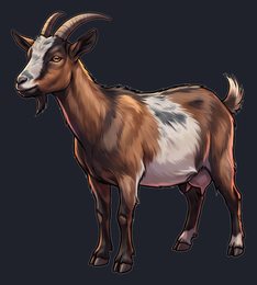 goat_p2-0001_view-04_transparent_v01.png