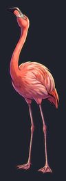 flamingo_p2-0003_view-04_transparent_v01.png