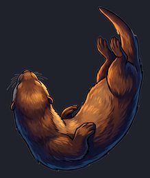 sea-otter_p2-0005_view-05_transparent_v01.png