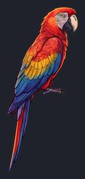 parrot_p2-0009_view-01_transparent_v01.png