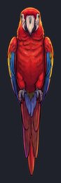 parrot_p2-0009_view-02_transparent_v01.png