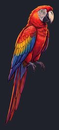 parrot_p2-0009_view-03_transparent_v01.png