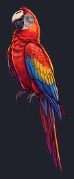 parrot_p2-0009_view-04_transparent_v01.png