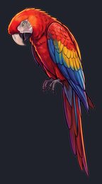 parrot_p2-0009_view-05_transparent_v01.png