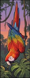 parrot_p2-0010_behavior-05_scene_v01.png