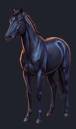 horse_p2-0011_view-01_transparent_v01.png