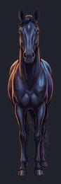 horse_p2-0011_view-02_transparent_v01.png