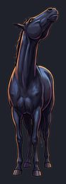 horse_p2-0011_view-04_transparent_v01.png