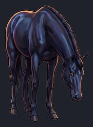 horse_p2-0011_view-05_transparent_v01.png