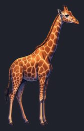 giraffe_p2-0019_view-01_transparent_v01.png