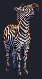 zebra_p2-0021_view-04_transparent_v01.png