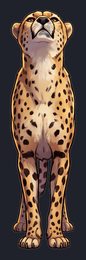 cheetah_p2-0023_view-04_transparent_v01.png