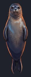 seal_p2-0029_view-02_transparent_v01.png