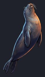 seal_p2-0029_view-04_transparent_v01.png