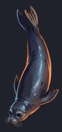 seal_p2-0029_view-05_transparent_v01.png