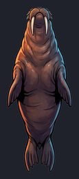 walrus_p2-0031_view-04_transparent_v01.png