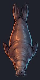 walrus_p2-0031_view-05_transparent_v01.png