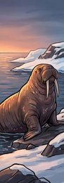 walrus_p2-0032_behavior-05_scene_v01.png
