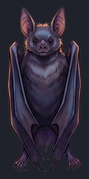 bat_p2-0033_view-02_transparent_v01.png