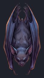 bat_p2-0033_view-05_transparent_v01.png