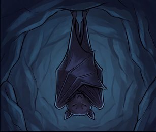 bat_p2-0034_behavior-03_scene_v01.png