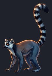 lemur_p2-0035_view-01_transparent_v01.png