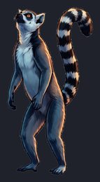 lemur_p2-0035_view-04_transparent_v01.png
