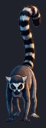lemur_p2-0035_view-05_transparent_v01.png