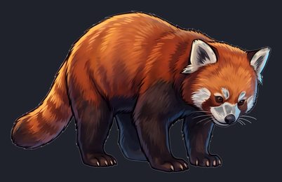red-panda_p2-0037_view-04_transparent_v01.png