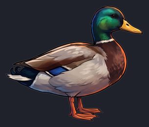 duck_p2-0039_view-01_transparent_v01.png