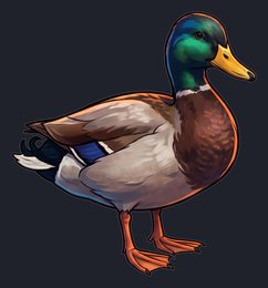 duck_p2-0039_view-02_transparent_v01.png