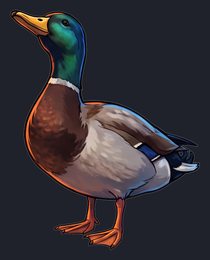 duck_p2-0039_view-03_transparent_v01.png