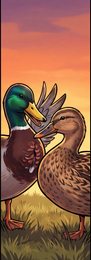 duck_p2-0040_behavior-04_scene_v01.png