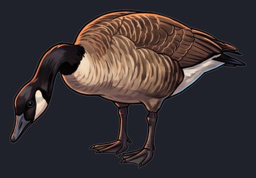 goose_p2-0041_view-05_transparent_v01.png