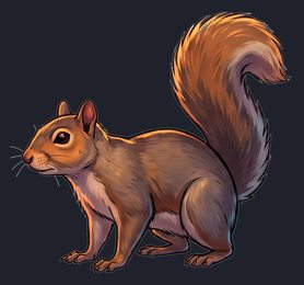 squirrel_p2-0045_view-01_transparent_v01.png