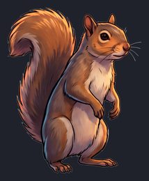 squirrel_p2-0045_view-03_transparent_v01.png