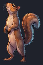 squirrel_p2-0045_view-04_transparent_v01.png