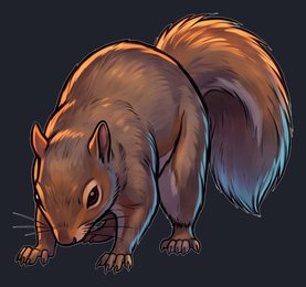 squirrel_p2-0045_view-05_transparent_v01.png