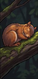 squirrel_p2-0046_behavior-03_scene_v01.png