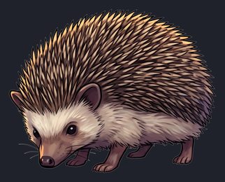 hedgehog_p2-0047_view-04_transparent_v01.png