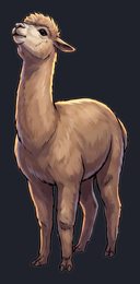alpaca_p2-0051_view-04_transparent_v01.png