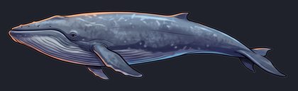 blue-whale_p2-0061_view-01_transparent_v01.png